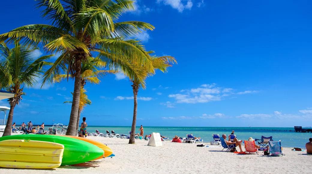 Florida prenuptial agreement prenup